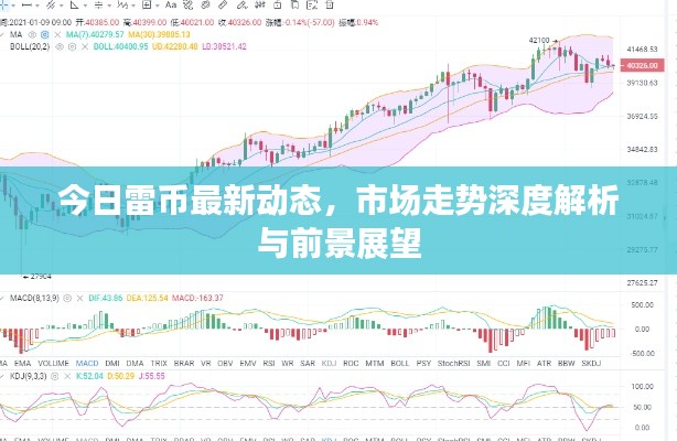 今日雷币最新动态，市场走势深度解析与前景展望