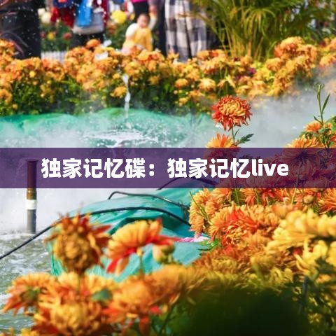 独家记忆碟：独家记忆live 