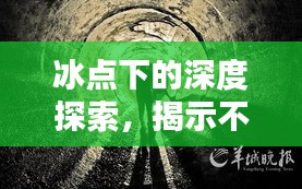 冰点下的深度探索，揭示不为人知的真相