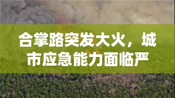 合掌路突发大火，城市应急能力面临严峻考验