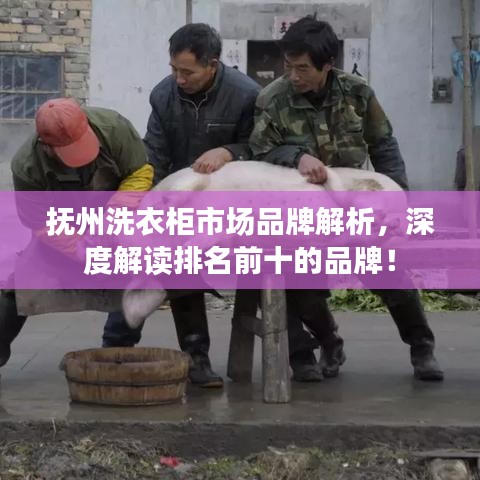 抚州洗衣柜市场品牌解析，深度解读排名前十的品牌！