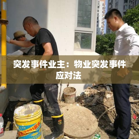 突发事件业主：物业突发事件应对法 