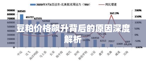 豆粕价格飙升背后的原因深度解析