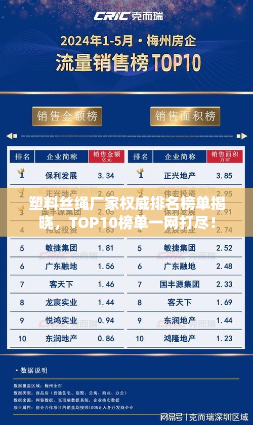 塑料丝绳厂家权威排名榜单揭晓，TOP10榜单一网打尽！