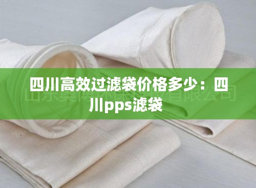 四川高效过滤袋价格多少：四川pps滤袋 