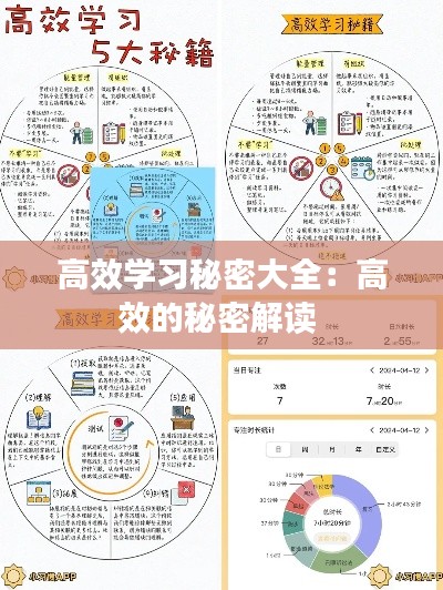 高效学习秘密大全：高效的秘密解读 