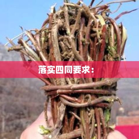 落实四同要求： 