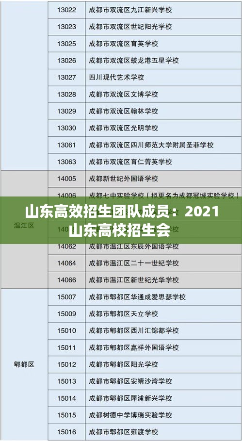 山东高效招生团队成员：2021山东高校招生会 