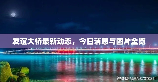 友谊大桥最新动态，今日消息与图片全览