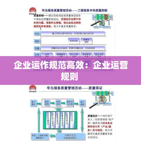 企业运作规范高效：企业运营规则 