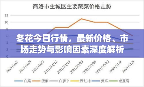 2025年1月31日 第7页