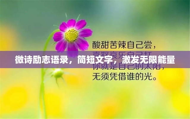 微诗励志语录，简短文字，激发无限能量