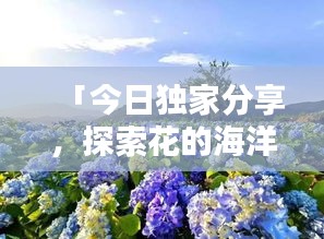 「今日独家分享，探索花的海洋，领略自然之美的赏花图片大赏」