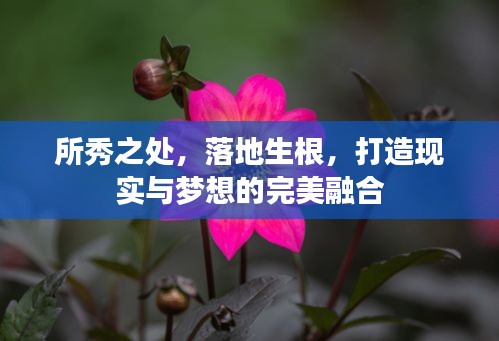 所秀之处，落地生根，打造现实与梦想的完美融合