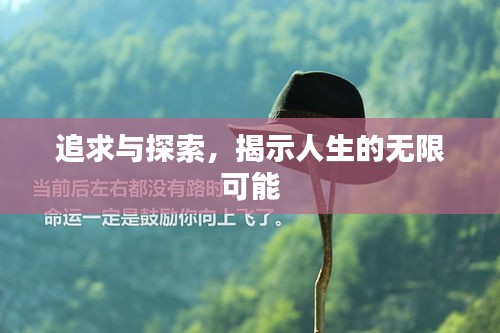 追求与探索，揭示人生的无限可能