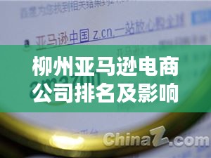 柳州亚马逊电商公司排名及影响力揭秘