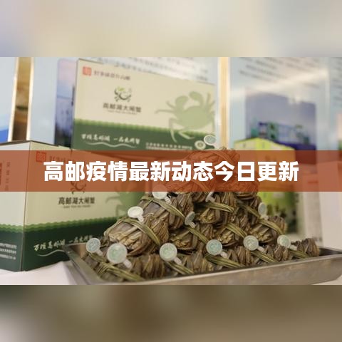 高邮疫情最新动态今日更新