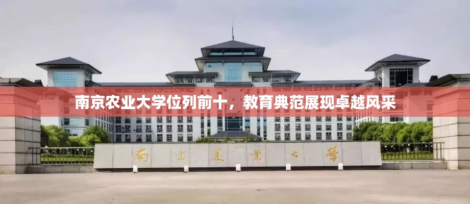 南京农业大学位列前十，教育典范展现卓越风采