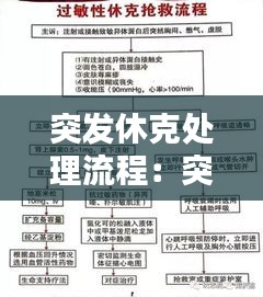 突发休克处理流程：突发性休克 