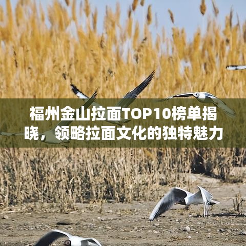 福州金山拉面TOP10榜单揭晓，领略拉面文化的独特魅力