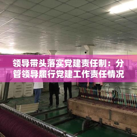 领导带头落实党建责任制：分管领导履行党建工作责任情况 