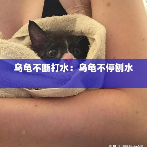 乌龟不断打水：乌龟不停刨水 