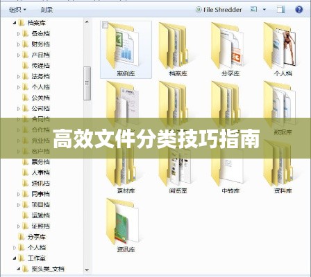 高效文件分类技巧指南