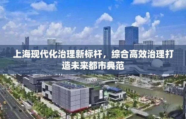 上海现代化治理新标杆，综合高效治理打造未来都市典范