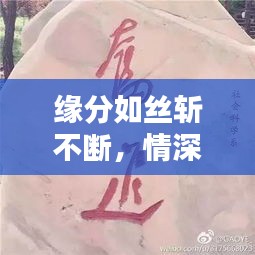 缘分如丝斩不断，情深难断缘分线