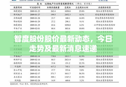 智度股份股价最新动态，今日走势及最新消息速递