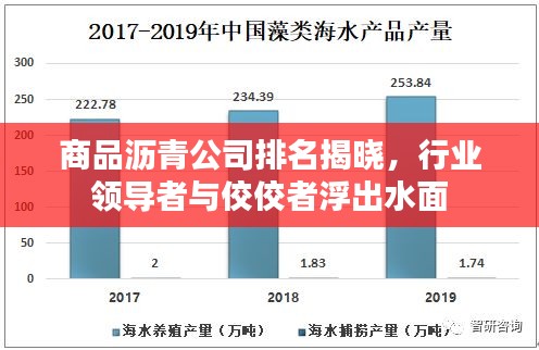 商品沥青公司排名揭晓，行业领导者与佼佼者浮出水面