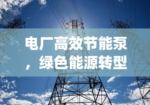 电厂高效节能泵，绿色能源转型的核心技术驱动