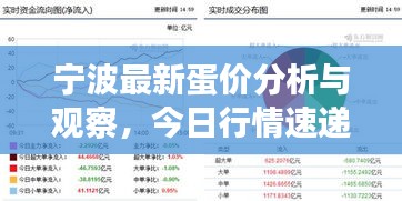 宁波最新蛋价分析与观察，今日行情速递