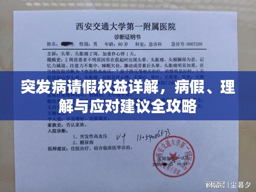 突发病请假权益详解，病假、理解与应对建议全攻略