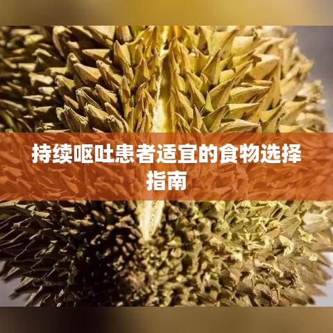 持续呕吐患者适宜的食物选择指南