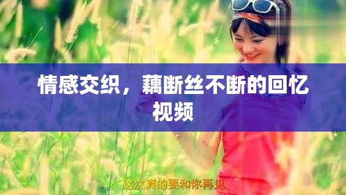 情感交织，藕断丝不断的回忆视频