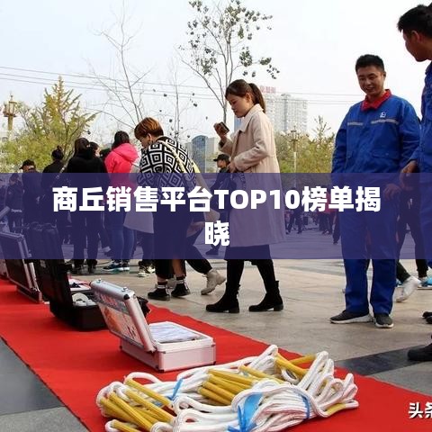 商丘销售平台TOP10榜单揭晓