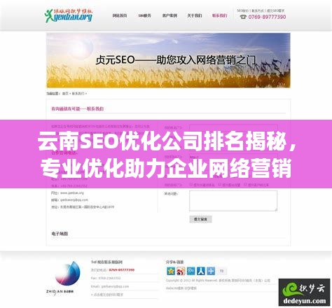 云南SEO优化公司排名揭秘，专业优化助力企业网络营销的重要性