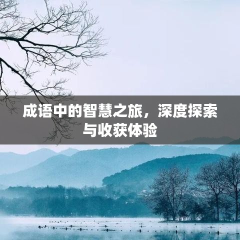 成语中的智慧之旅，深度探索与收获体验