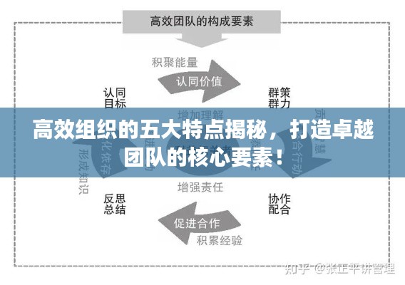 高效组织的五大特点揭秘，打造卓越团队的核心要素！