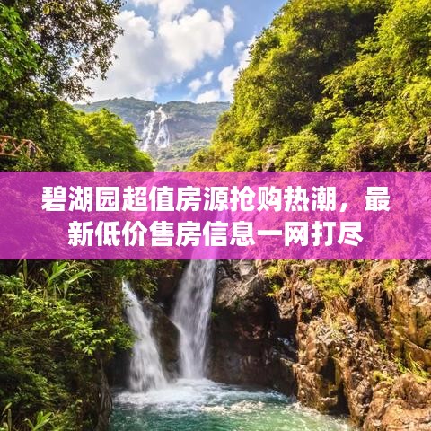 碧湖园超值房源抢购热潮，最新低价售房信息一网打尽