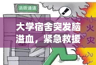 大学宿舍突发脑溢血，紧急救援与预防策略！