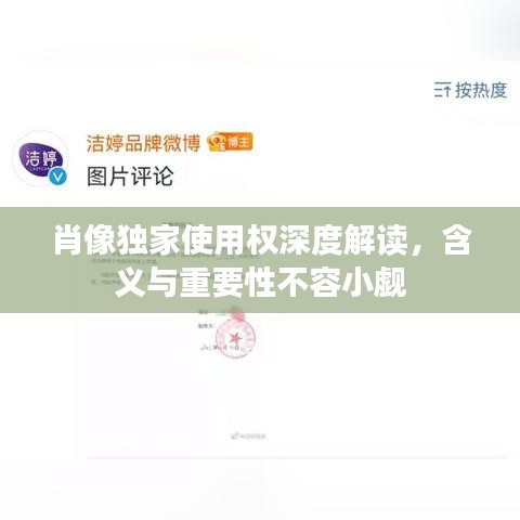 肖像独家使用权深度解读，含义与重要性不容小觑