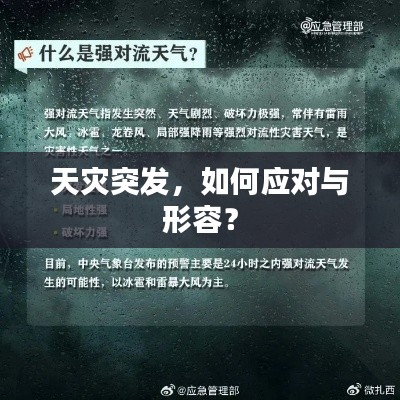 天灾突发，如何应对与形容？