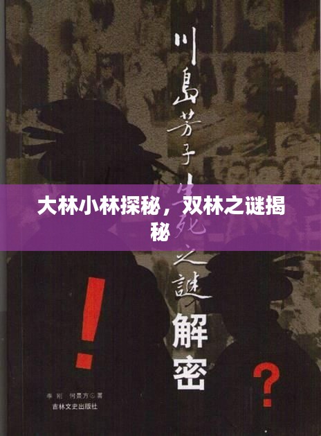 大林小林探秘，双林之谜揭秘