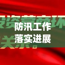 防汛工作落实进展报告，最新动态与应对策略