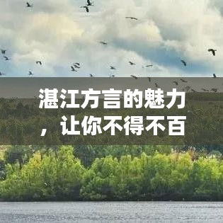 湛江方言的魅力，让你不得不百度探索！