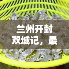 兰州开封双城记，最新动态与新闻头条全关注