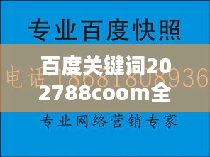 百度关键词202788coom全面解析与探讨