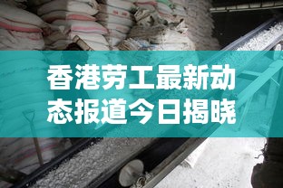 香港劳工最新动态报道今日揭晓